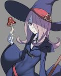  1girl ban breasts covered_navel grey_background hair_over_one_eye hat highres hood little_witch_academia long_hair looking_at_viewer mushroom purple_hair red_eyes robe simple_background solo sucy_manbabalan witch witch_hat 