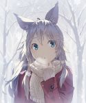  1girl animal_ears blue_eyes cat_ears coat kimura_(ykimu) long_hair looking_at_viewer original outdoors scarf silver_hair solo 