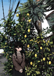  1girl :c absurdres black_eyes black_hair black_skirt braid brown_sweater cowboy_shot day food fruit fruit_tree hair_between_eyes hair_tie high-waist_skirt highres house lemon long_bangs long_sleeves looking_to_the_side low_twin_braids open_mouth original outdoors own_hands_together power_lines skirt sleeve_cuffs sleeves_past_wrists solo sweater sweater_tucked_in tree twin_braids uniunimikan 