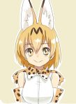  1girl :&gt; animal_ears bare_shoulders beige_background blush bow bowtie breasts cat_ears commentary_request elbow_gloves eyebrows eyebrows_visible_through_hair eyelashes gloves kemono_friends large_breasts light_brown_eyes looking_at_viewer nose_blush orange_hair outline sanpaku serval_(kemono_friends) serval_ears serval_print shirt short_hair simple_background sketch smile solo tareme upper_body white_outline white_shirt yoshida_on 