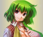  bad_id breasts cleavage kazami_yuuka light_smile open_clothes open_shirt plaid_vest portrait shirt touhou umekichi untied 