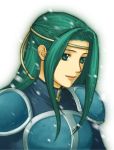  armor fiora fire_emblem fire_emblem_blazing_sword green_eyes green_hair pegasus_knight snow 