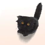  animal black_cat black_hair cat cat_focus gradient gradient_background kinoebi looking_at_viewer no_humans original simple_background whiskers wide-eyed yellow_eyes 