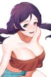  1girl bare_shoulders breasts cleavage collarbone crop_top crop_top_overhang green_eyes highres large_breasts long_hair love_live! love_live!_school_idol_project low_twintails midriff parted_lips purple_hair scrunchie short_shorts shorts smile solo strapless toujou_nozomi tubetop twintails yeonong 