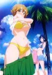  2girls absurdres adagaki_aki beach bikini blue_eyes blue_hair blush breasts brown_eyes brown_hair highres koiwai_yoshino long_hair masamune-kun_no_revenge multiple_girls navel open_mouth palm_tree shirt_lift short_hair small_breasts standing swimsuit tree yellow_bikini 