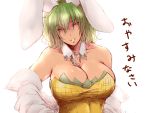  &gt;:) 1girl animal_ears bangs bare_shoulders breasts bunny_girl bunnysuit cleavage collarbone detached_collar fake_animal_ears green_hair kazami_yuuka large_breasts looking_at_viewer orange_eyes parted_lips rabbit_ears smile solo tobisawa touhou translation_request undressing upper_body 