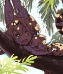  1girl :d animal_ears animal_print bare_shoulders black_hair blonde_hair blush bow bowtie cat_ears cat_tail commentary_request dappled_sunlight day dress elbow_gloves eyebrows_visible_through_hair fang gloves kemono_friends leopard_print looking_at_viewer lying multicolored_hair on_stomach open_mouth outdoors palm_tree serval_(kemono_friends) short_hair sketch sleeveless sleeveless_dress smile solo streaked_hair summer sunlight tail tareme tree tree_branch yellow_eyes yoshida_on 