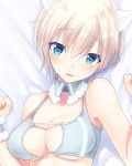  108_gou 1girl animal_ears bangs bare_arms bare_shoulders bed_sheet blonde_hair blue_eyes blush bra brave_witches breasts center_opening cleavage cleavage_cutout clenched_hands detached_collar eyebrows_visible_through_hair eyes_visible_through_hair face grey_bra hair_between_eyes large_breasts looking_at_viewer lying nikka_edvardine_katajainen on_back open_mouth portrait short_hair solo sweat underwear wavy_mouth weasel_ears world_witches_series wrist_cuffs 