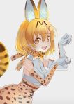  1girl :d animal_ears animal_print bangs bow bowtie cat_ears cat_tail dress elbow_gloves eyebrows_visible_through_hair fangs from_side gloves grey_background hair_between_eyes kemono_friends looking_at_viewer open_mouth orange_eyes orange_hair paw_pose ruisento serval_(kemono_friends) simple_background sleeveless sleeveless_dress slit_pupils smile solo tail teeth upper_body 
