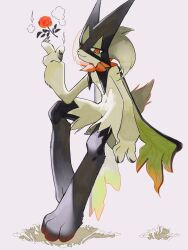  1other animal_hands animal_nose black_fur body_fur cape flower full_body furry green_cape green_fur green_hair half-closed_eyes highres kashiwa_gnu looking_at_viewer mask meowscarada other_focus pokemon pokemon_(creature) red_eyes red_flower red_rose rose short_hair short_tail simple_background sitting smile solo tail two-tone_fur white_background 