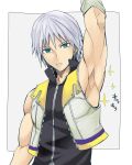  1boy arm_up armpits biceps blue_eyes kingdom_hearts kingdom_hearts_ii male_focus open_clothes open_vest parted_lips rectangle riku silver_hair solo sparkle torakichi_(ebitendon) upper_body vest zipper zipper_pull_tab 