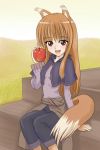  apple brown_hair fang food fruit holo ishikkoro long_hair red_eyes spice_and_wolf tail wolf_ears 