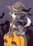  pumpkin pumpkins satomi thighhighs witch 