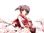  brown_hair cherry_blossoms satomi school_uniform to_heart_2 twintails yuzuhara_konomi 