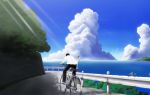  bicycle bird birds cloud clouds guard_rail nariyuki ocean power_lines rail road scenery sky sunbeam sunlight water 