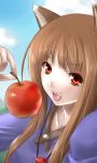  apple apples brown_hair food fruit holding holding_fruit holo long_hair nyin red_eyes spice_and_wolf wolf_ears 