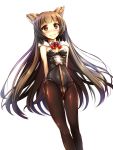  1girl animal_ears arms_behind_back aster_(granblue_fantasy) bangs black_legwear black_leotard blunt_bangs blurry brown_eyes brown_hair cat_ears depth_of_field dutch_angle erun_(granblue_fantasy) eyebrows_visible_through_hair granblue_fantasy grey_hair highres kittysuit leotard long_hair pantyhose ro_risu simple_background solo standing very_long_hair white_background 