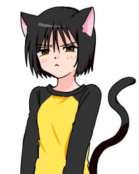  1girl animal_ears black_hair blush cat_ears cat_tail highres long_sleeves looking_at_viewer love_18s2 nakahara_misaki nhk_ni_youkoso! shirt short_hair simple_background solo sweatdrop tail upper_body white_background 