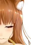  1girl absurdres animal_ears bangs brown_hair c_(pixiv3064042) close-up eyelashes face highres holo lips long_hair looking_to_the_side mouth_hold pink_lips red_eyes simple_background solo spice_and_wolf wheat white_background wolf_ears 