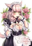  1girl :p animal_ears apron aruma_jiki blush breasts cat_ears cat_tail chocolate chocolate_on_breasts cleavage facial_mark final_fantasy final_fantasy_xiv finger_licking finger_to_mouth flower happy_valentine large_breasts licking looking_at_viewer maid maid_headdress miqo&#039;te pink_hair rose short_hair slit_pupils solo tail tongue tongue_out valentine waist_apron white_apron wrist_cuffs yellow_eyes 