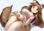  1girl animal_ears blush breasts brown_eyes brown_hair collar dog_ears dog_tail highres kanzen_bouon long_hair long_sleeves looking_at_viewer original simple_background skirt smile solo tail 
