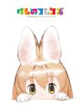  1girl animal_ears blonde_hair brown_eyes gloves hair_between_eyes kemono_friends logo looking_at_viewer official_art peeking_out serval_(kemono_friends) short_hair simple_background solo table white_background yoshizaki_mine 