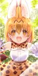  1girl :d animal_ears belt blush bow bowtie elbow_gloves extra_ears gloves high-waist_skirt highres kemono_friends lace looking_at_viewer mugi_(iccomae) multicolored_hair open_mouth orange_bow orange_eyes orange_hair orange_skirt phone_screen plant round_teeth serval_(kemono_friends) shirt shirt_pocket short_hair skirt sleeveless sleeveless_shirt smile solo spots streaked_hair tail teeth white_shirt 