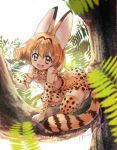  1girl :d all_fours animal_ears bangs bare_shoulders blonde_hair blurry blush bow bowtie breasts cat_ears cat_tail depth_of_field elbow_gloves fern gloves highres in_tree kemono_friends looking_at_viewer malino_(dream_maker) medium_breasts nature open_mouth outdoors print_bow print_gloves print_legwear print_skirt reflective_eyes serval_(kemono_friends) shiny shiny_hair short_hair signature skirt sleeveless smile solo tail thigh-highs tree yellow_eyes 