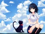  1girl absurdres bangs bell black_hair black_legwear blue_eyes blue_ribbon blue_skirt blue_sky breasts cat closed_mouth clouds cloudy_sky collared_shirt eyebrows_visible_through_hair highres jingle_bell kneehighs legs_together looking_at_another medium_breasts original outdoors piuta pleated_skirt ribbon school_uniform shirt short_sleeves sitting skirt sky smile solo sparkle white_shirt wing_collar 