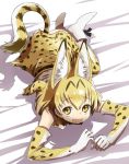  1girl :d animal_ears bare_shoulders bed_sheet bow bowtie cat_ears cat_tail clenched_hands commentary_request dress elbow_gloves eyebrows eyebrows_visible_through_hair eyelashes full_body gloves hair_between_eyes kemono_friends looking_at_viewer lying on_stomach open_mouth orange_hair ribbon ribbon-trimmed_clothes ribbon-trimmed_skirt ribbon_trim sanpaku serval_(kemono_friends) serval_ears serval_tail shadow shirt shoe_ribbon short_hair sketch skirt sleeveless sleeveless_dress sleeveless_shirt smile socks solo striped_tail tail tareme white_footwear white_sleeves yellow_eyes yoshida_on 