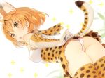  1girl animal_ears ass bare_shoulders blonde_hair blush bow bowtie breasts cat_ears commentary_request elbow_gloves from_below gloves ikeya kemono_friends looking_at_viewer looking_down open_mouth panties pantyshot pantyshot_(standing) serval_(kemono_friends) serval_ears serval_tail short_hair skirt sleeveless smile solo standing tail thigh-highs underwear upskirt white_panties yellow_eyes 