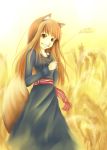  brown_hair cla highres holo jewelry long_hair necklace red_eyes sash skirt smile spice_and_wolf tail wheat wolf_ears 