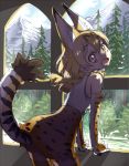  1girl :d animal_ears bare_shoulders bow bowtie bush clouds cloudy_sky elbow_gloves eyebrows_visible_through_hair from_behind from_side gloves ground hair_between_eyes kemono_friends looking_at_viewer looking_back mountain open_mouth orange_eyes orange_hair pine_tree serval_(kemono_friends) serval_ears serval_tail shadow shirt short_hair sketch skirt sky sleeveless sleeveless_shirt smile socks solo tail tareme thigh-highs tree white_shirt window yoshida_on zettai_ryouiki 