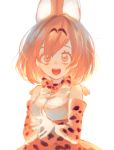  1girl :d animal_ears bare_shoulders bow bowtie cat_ears elbow_gloves eyelashes fingers_together gloves gwen_(g90z__) hands_together kemono_friends looking_at_viewer open_mouth orange_eyes orange_hair sanpaku serval_(kemono_friends) serval_ears shirt short_hair simple_background skirt sleeveless sleeveless_shirt smile solo tareme upper_body white_background white_shirt 