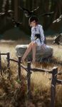  1girl barefoot bird black_eyes black_hair blurry depth_of_field dress fence field grass highres nature neck_ribbon original outdoors raven ribbon rock scenery short_hair sitting sketch solo tree treeware underbust 