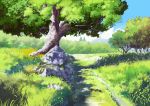  absurdres anchoku_0621 blue_sky day grass highres no_humans original outdoors rock rural scenery sky tree 