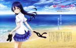  1girl absurdres beach black_hair blue_hair blue_skirt copyright_name highres holding long_hair love_live! love_live!_school_idol_project murota_yuuhei necktie necktie_removed ocean outdoors pleated_skirt shirt shoes_removed skirt smile solo sonoda_umi white_shirt yellow_eyes 