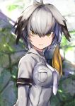  1girl amamitsu_kousuke blurry blurry_background bodystocking breasts grey_shirt head_wings highres kemono_friends long_hair looking_at_viewer low_ponytail medium_breasts multicolored_hair necktie shirt shoebill_(kemono_friends) short_sleeves side_ponytail solo yellow_eyes 