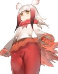 1girl aos_libido bangs buttons closed_mouth crested_ibis_(kemono_friends) cropped_legs expressionless eyebrows_visible_through_hair frilled_sleeves frills from_below gloves half-closed_eyes jitome kemono_friends legs long_hair long_sleeves multicolored_hair pantyhose pleated_skirt red_gloves red_legwear red_skirt shirt simple_background skirt solo standing tail thighs two-tone_hair white_background white_hair white_shirt wide_sleeves wings yellow_eyes 