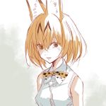  1girl animal_ears armpit_peek bangs bare_shoulders blush bow bowtie brown_eyes cat_ears commentary_request eyelashes grey_background hair_between_eyes hatching_(texture) inumoto kemono_friends looking_at_viewer nose_blush nostrils open_mouth orange_hair parted_lips sanpaku serval_(kemono_friends) serval_ears shirt short_hair simple_background sketch sleeveless sleeveless_shirt solo tsurime two-tone_background upper_body white_background white_shirt 