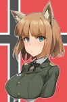 1girl :o animal_ears bangs blue_eyes blush brave_witches brown_hair gundula_rall military military_uniform netlk short_hair solo uniform upper_body wolf_ears world_witches_series 