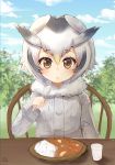  1girl blue_sky brown_eyes buttons chair clouds cloudy_sky curry day eyebrows_visible_through_hair food fur_collar fur_trim grass head_wings highres holding holding_spoon jacket kemono_friends long_sleeves looking_at_viewer multicolored_hair nayuhi_(yukimuu14) northern_white-faced_owl_(kemono_friends) short_hair sitting sky solo table tree upper_body white_hair 