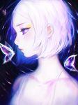  1girl bug butterfly headshot insect lips looking_down night night_sky original profile short_hair sky star star_(sky) straight_hair upper_body violet_eyes viorie white_hair 
