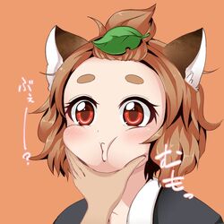  1girl animal_ears brown_hair cheek_squash extra genshi_shin&#039;ichi leaf leaf_on_head o3o raccoon_ears red_eyes short_hair tanuki_mob topknot topknot_tanuki touhou wild_and_horned_hermit 