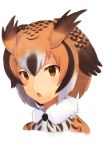  1girl :o bangs brown_eyes brown_hair buttons eurasian_eagle_owl_(kemono_friends) fur_collar head_wings highres kemono_friends light_brown_hair looking_at_viewer multicolored_hair short_hair solo sonzai_soumei upper_body white_hair 