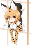  1girl animal_ears bare_shoulders blonde_hair bow bowtie commentary_request elbow_gloves eyebrows_visible_through_hair gloves hair_between_eyes kemono_friends looking_at_viewer serval_(kemono_friends) serval_ears serval_tail short_hair sleeveless solo sudo_shinren tail through_wall yellow_eyes 