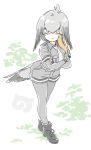  1girl belt feathers grey_hair grey_shirt grey_shorts kemono_friends mitsumoto_jouji necktie pantyhose shirt shoebill_(kemono_friends) shorts tail 