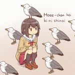  1girl animal animal_on_head bird bird_on_head copyright_name douta_moee jitome kneehighs moee-chan_ha_ki_ni_shinai oda_takayuki on_head original pigeon pleated_skirt school_uniform serafuku short_hair skirt squatting sweater 