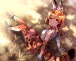  1girl animal_ears animal_print arm_support bangs belt blonde_hair blush boots dress elbow_gloves from_above gloves grass kemono_friends light_smile looking_at_viewer orange_eyes outdoors serval_(kemono_friends) serval_ears serval_print serval_tail short_hair sitting sleeveless sleeveless_dress solo tail tan_(tangent) thigh-highs 