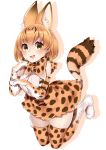  1girl absurdres animal_ears bangs blonde_hair blouse blush bow breasts brown_bow brown_gloves brown_legwear cat_ears cat_tail elbow_gloves eyebrows_visible_through_hair full_body gloves highres kemono_friends legs_together looking_at_viewer medium_breasts open_mouth serval_(kemono_friends) serval_ears serval_print serval_tail shadow short_hair simple_background sleeveless_blouse smile solo tail tamako_(ei_niku) thigh-highs white_background white_blouse yellow_eyes 
